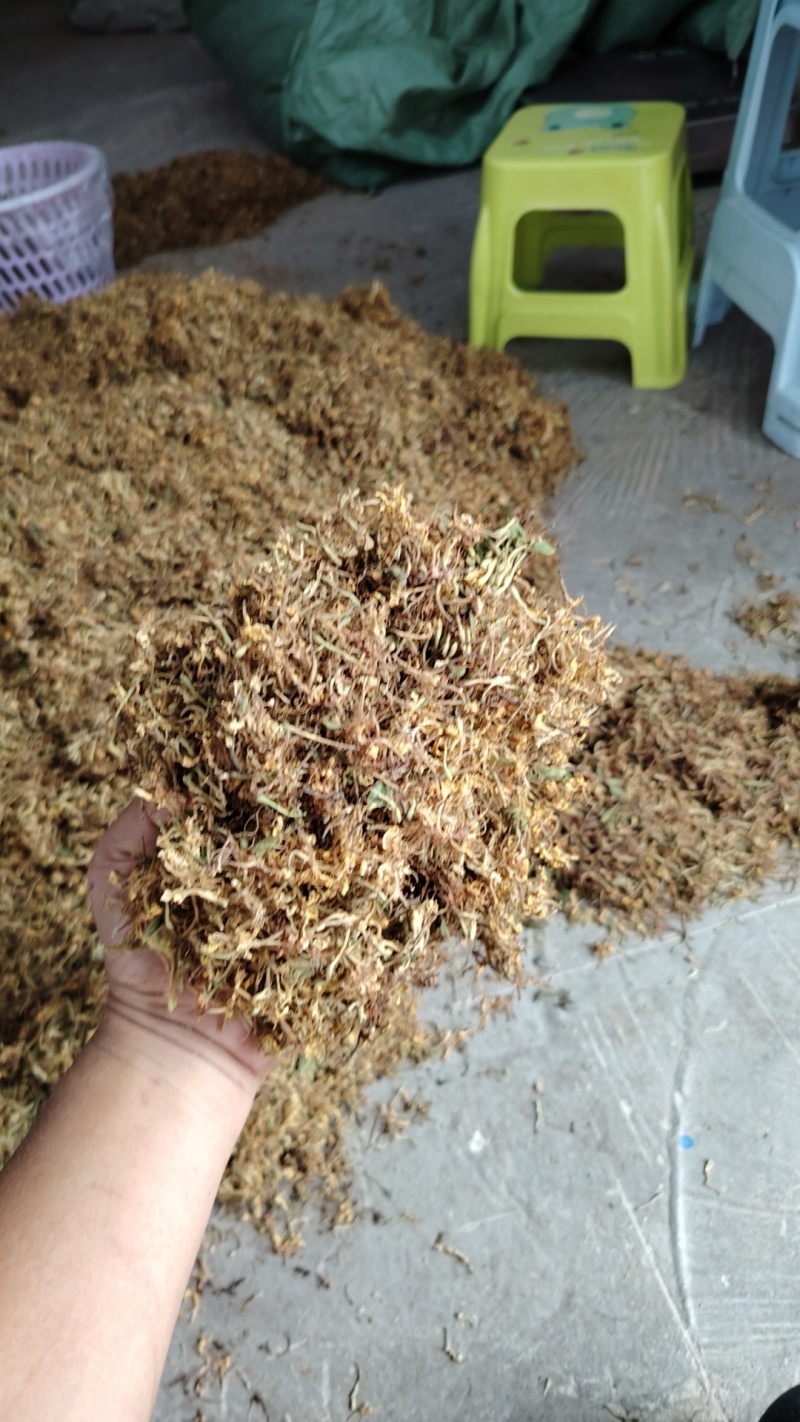 贵州金银花一级花蕾色青无硫味香杂质少