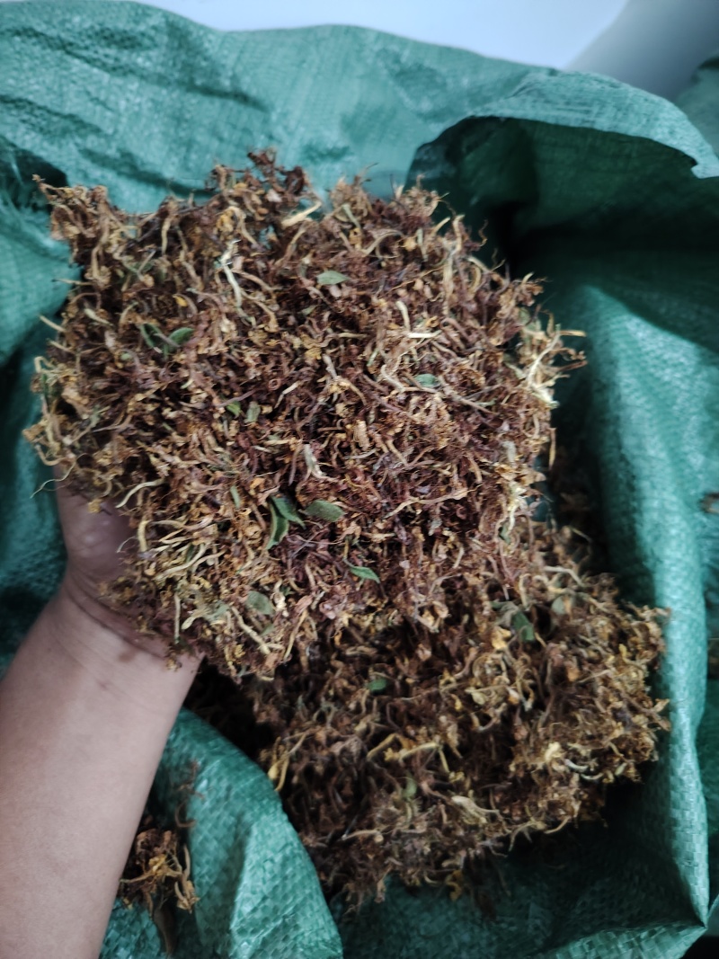 贵州金银花一级花蕾色青无硫味香杂质少