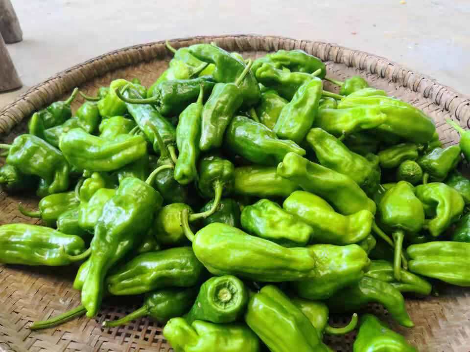 彩色圆椒电商直播销售场景