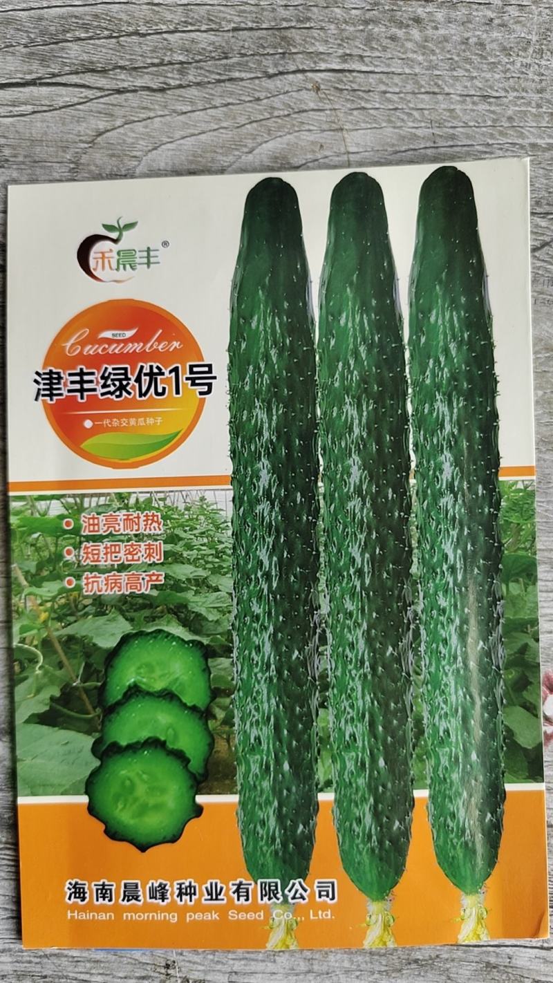 津丰绿优1号耐热油亮绿肉瓜条顺直把短一手货源品质保证