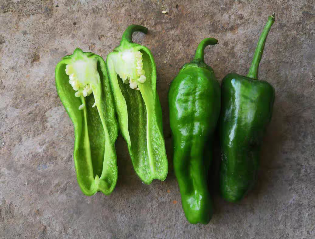 湖南衡阳农产品展销会现场展示本地圆包菜深加工产品