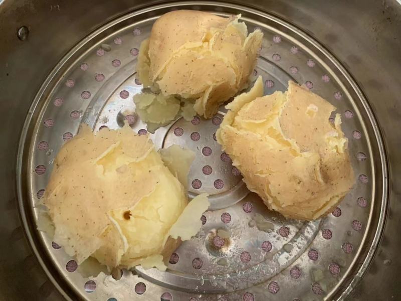 甘肃靖远土豆大量上市个体均匀3两通天