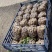 甘肃靖远土豆大量上市个体均匀3两通天