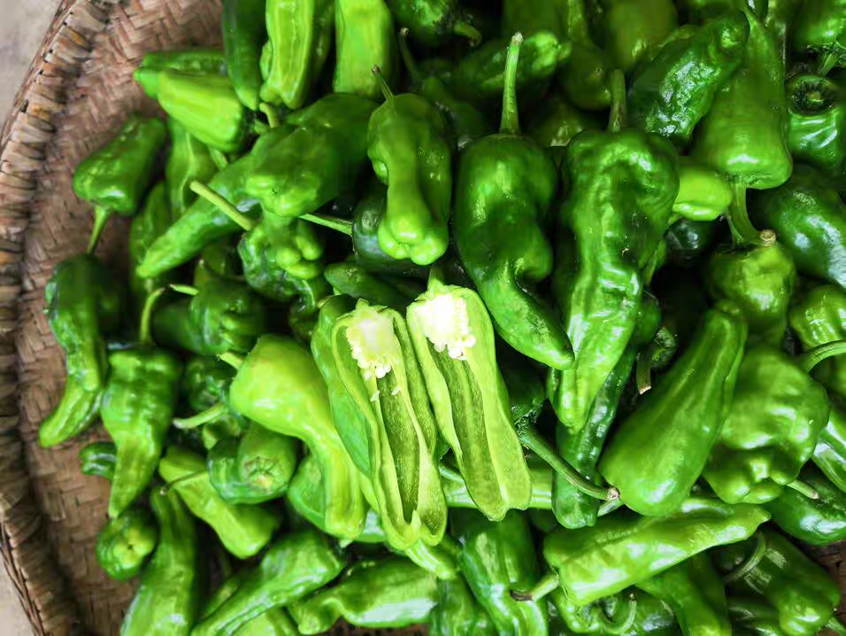 牛角椒多样菜品拼盘图