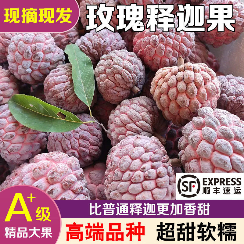 【玫瑰释迦果】热带新鲜应季水果番荔枝红玫瑰释迦果牛奶佛头
