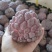 【玫瑰释迦果】热带新鲜应季水果番荔枝红玫瑰释迦果牛奶佛头