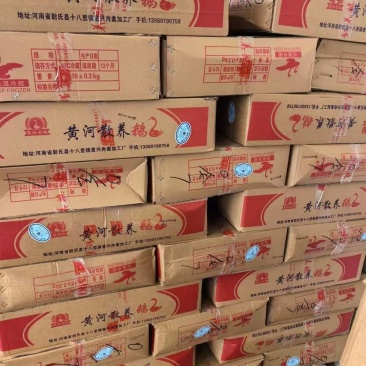 白条鹅