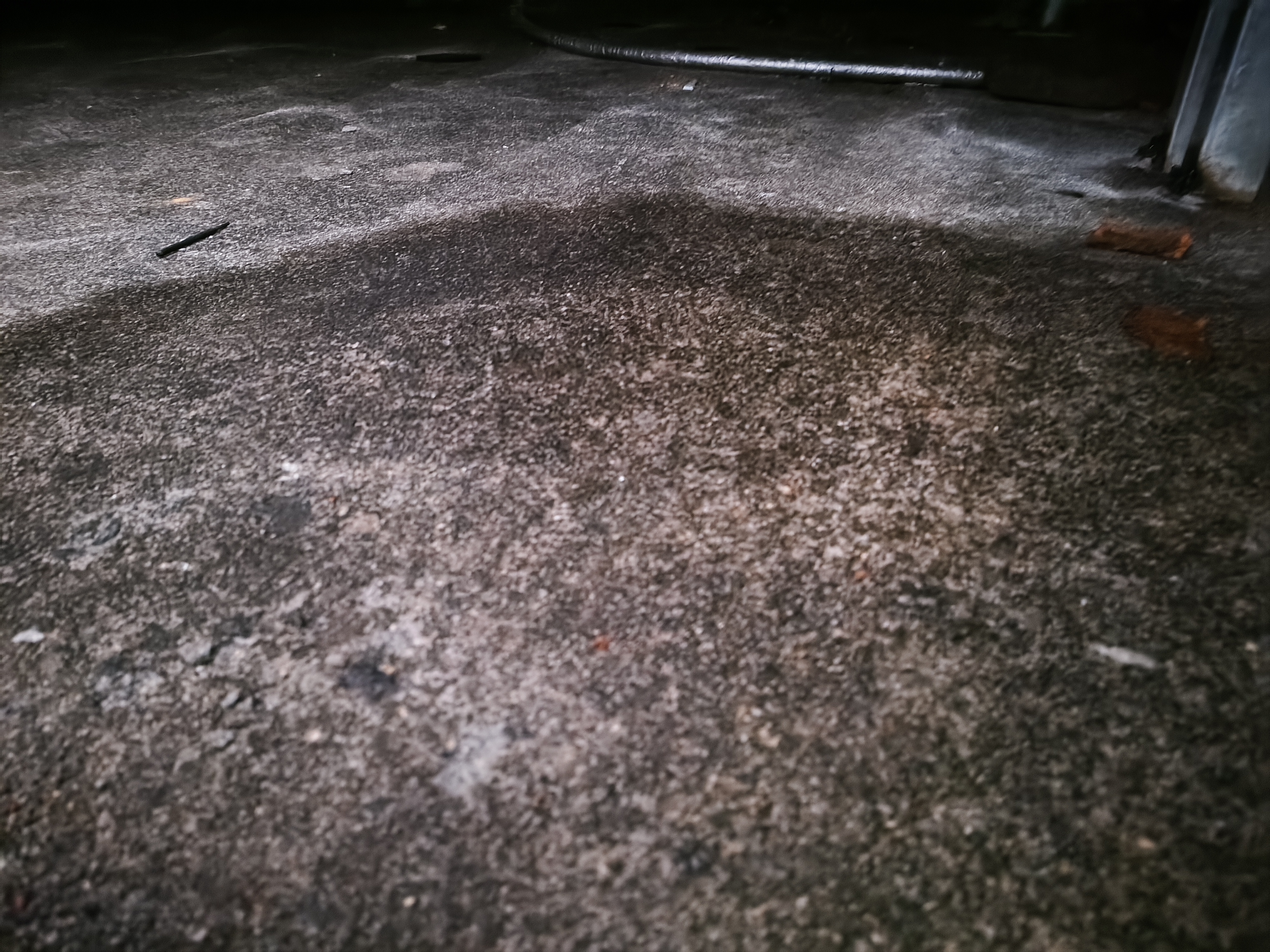 图片说明:左侧为干燥粉葛片,右侧为高品质赤灵芝,两者均为中药材常见形态 粉葛与灵芝的实物对比图