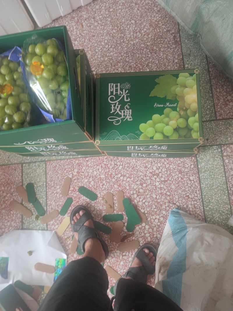 湖南常德澧县晴王阳光玫瑰葡萄中的爱马仕