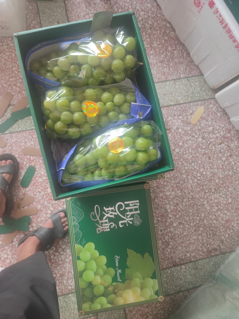 湖南常德澧县晴王阳光玫瑰葡萄中的爱马仕