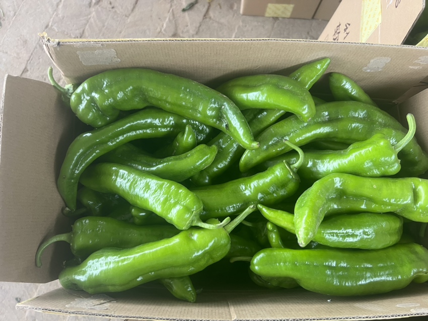 市场上的新鲜螺丝椒摊位