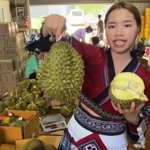 金枕榴莲一手货源批发市场，a果保5房，坏果包赔，货到付款