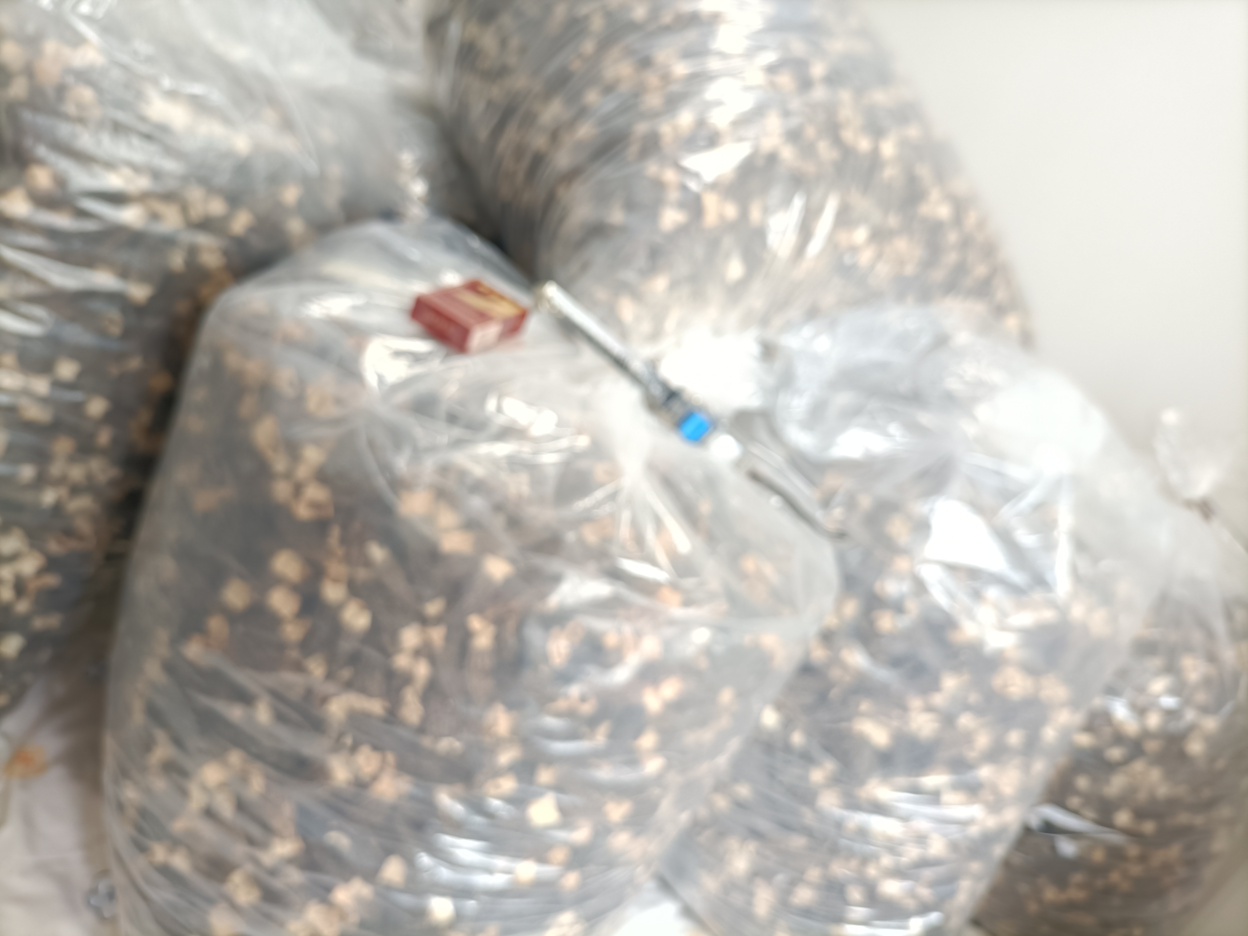 市场摊位上的羊肚菌干品展示