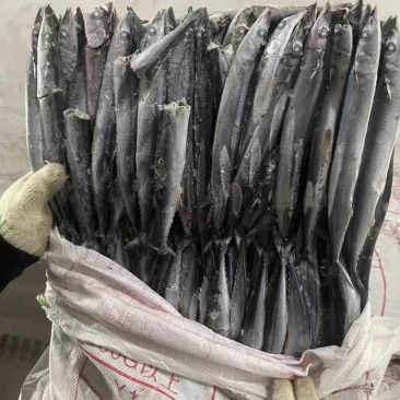 秋刀鱼5号处理价