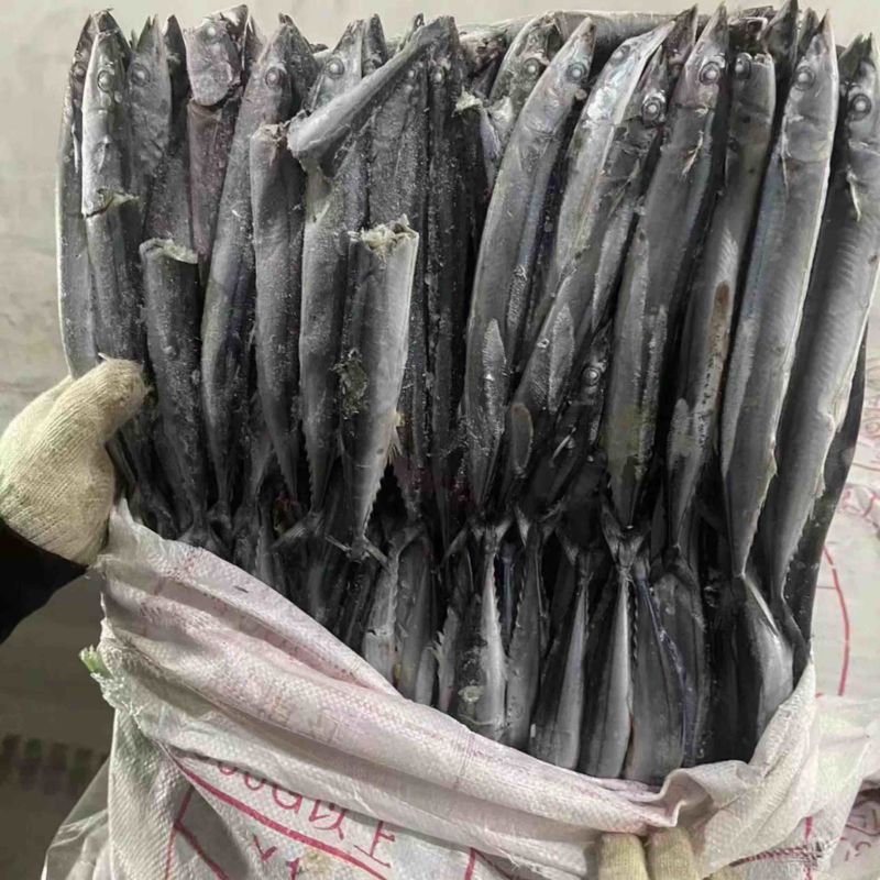 秋刀鱼5号处理价