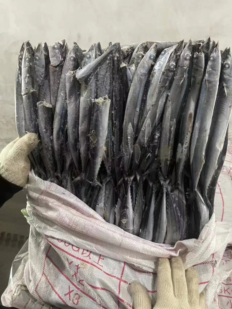 秋刀鱼5号处理价