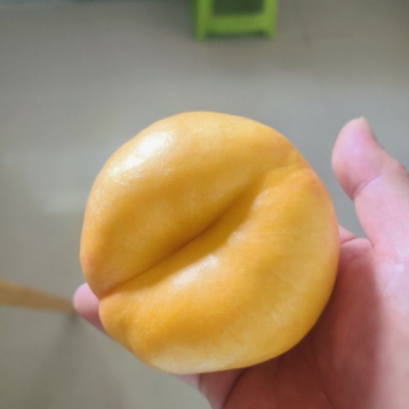 蟠7，蟠七，中油蟠七