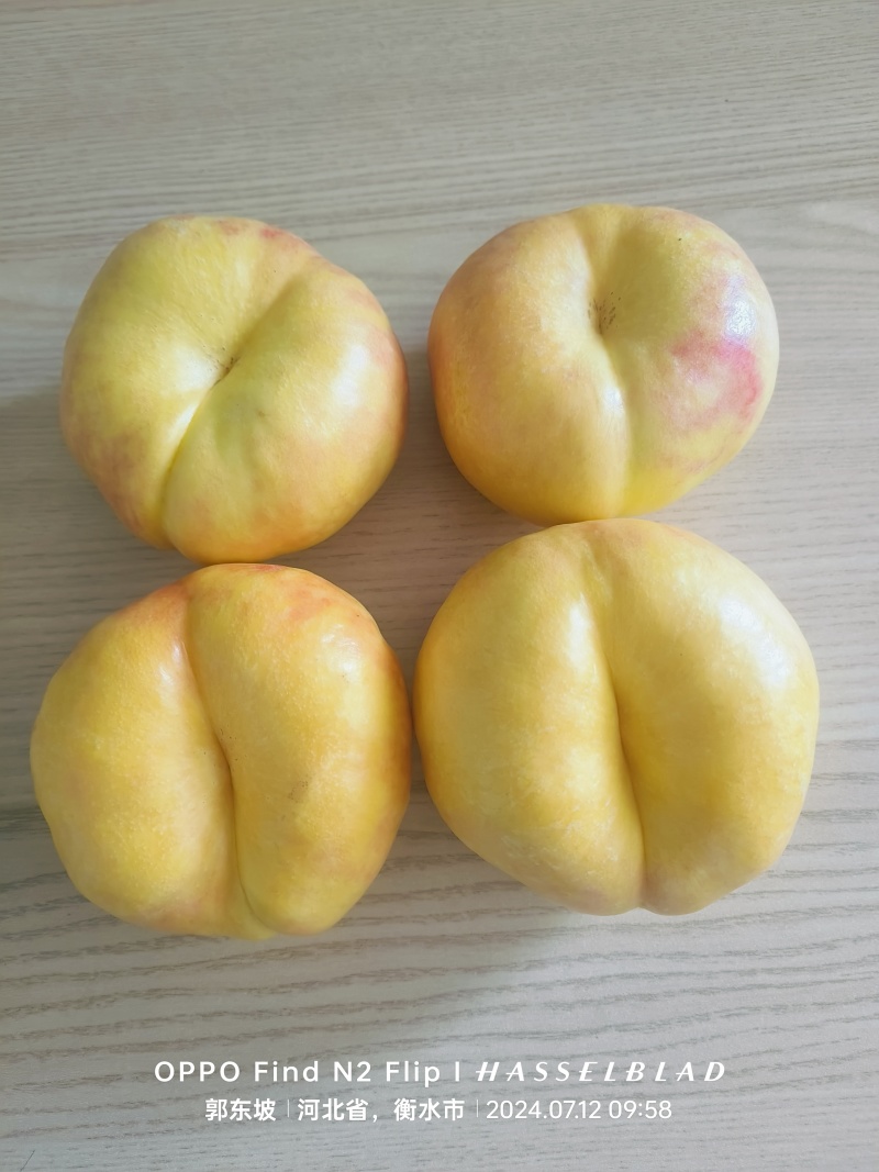 蟠7，蟠七，中油蟠七
