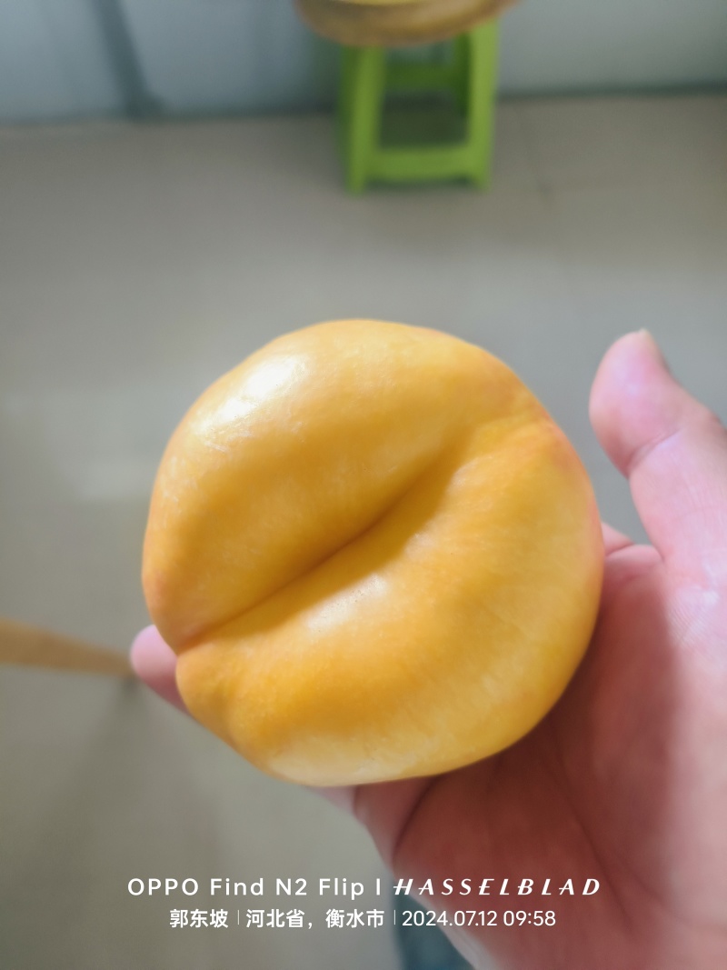 蟠7，蟠七，中油蟠七