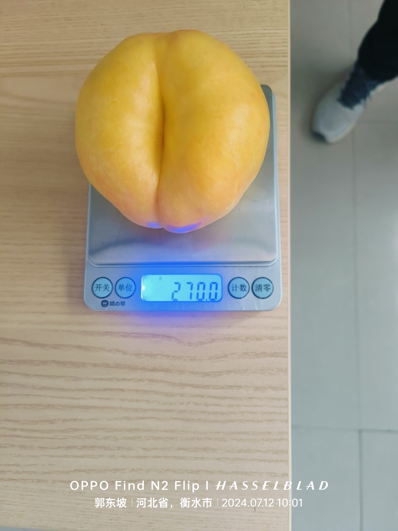 蟠7，蟠七，中油蟠七