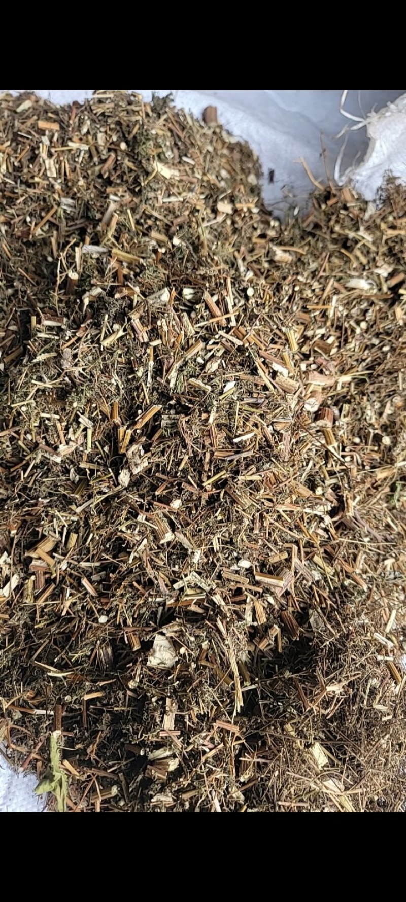 【青蒿】产地直销·量大从优·可预定规格·绵阳
