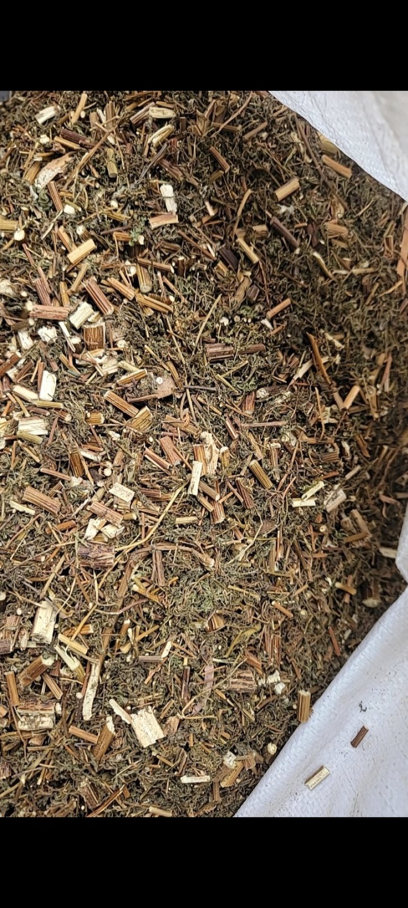 【青蒿】产地直销·量大从优·可预定规格·绵阳
