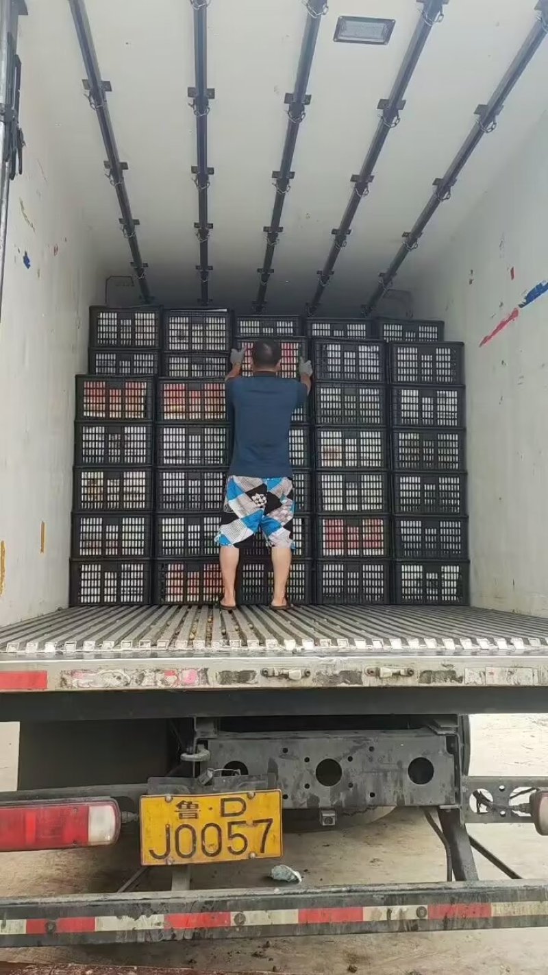 储良龙眼产地直供专业代办对接市场超市电商团购