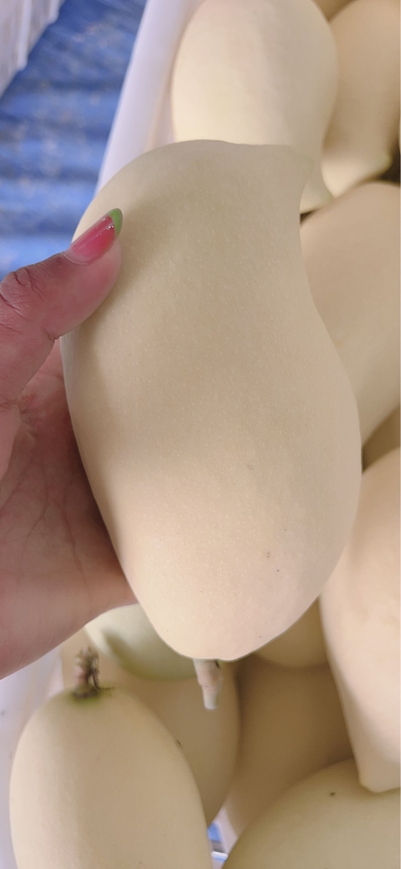 鹰嘴大量有货，三两以下为小果，以上为大果！