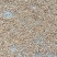 山杏核