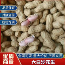 精品大白沙鲜花生颗粒饱满，欢迎新老客户光临