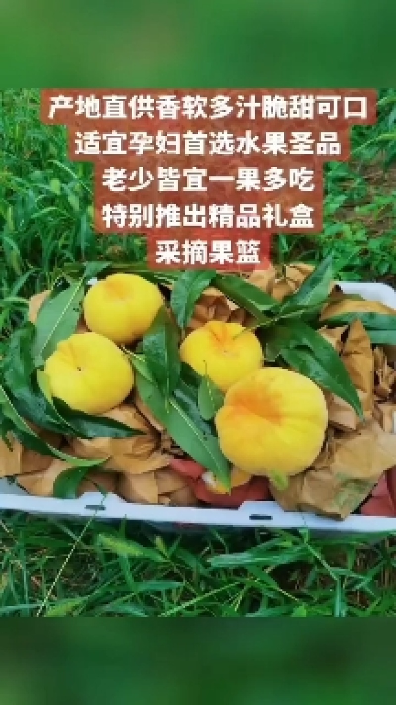产地直销