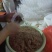 烧麦、水饺、清真特色牛羊肉风味烧麦，水饺批发，纯手工制作