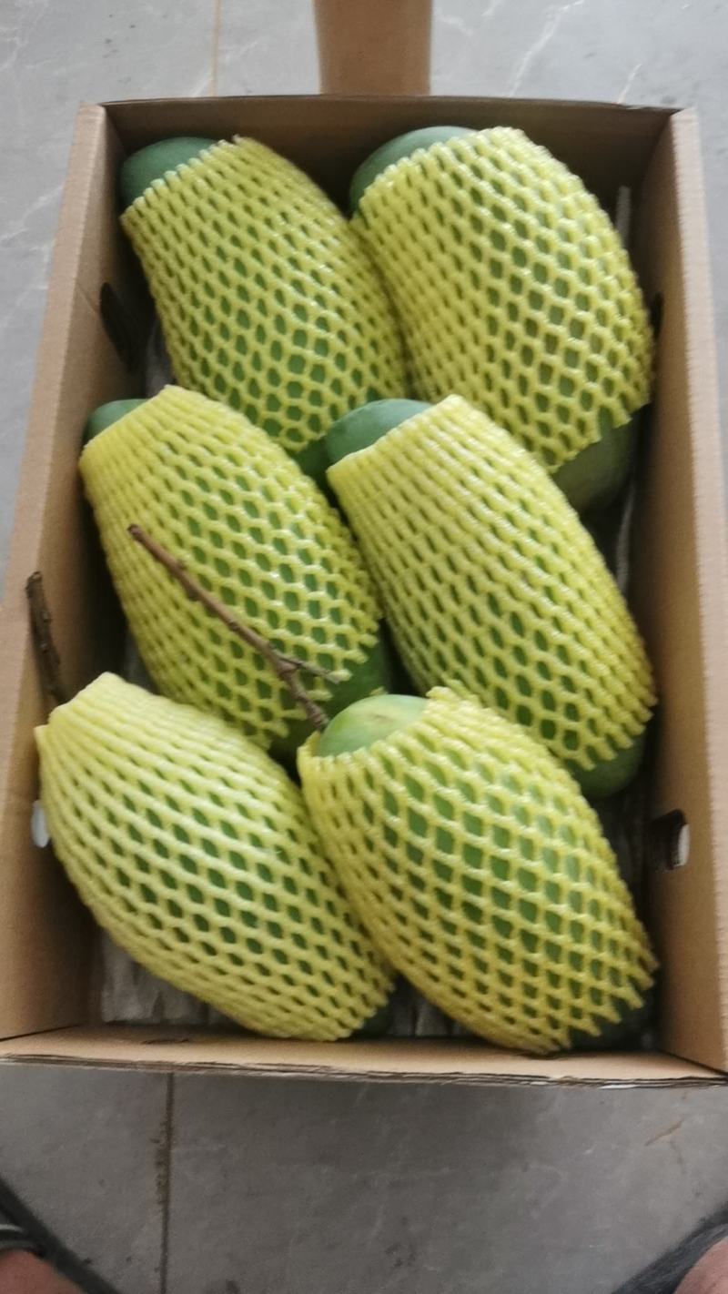 广西青芒金煌芒一手批发零售一件代发整箱包邮