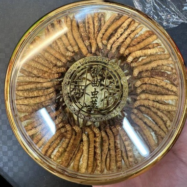 产地直销需要各种规格冬虫夏草的来咨询合作