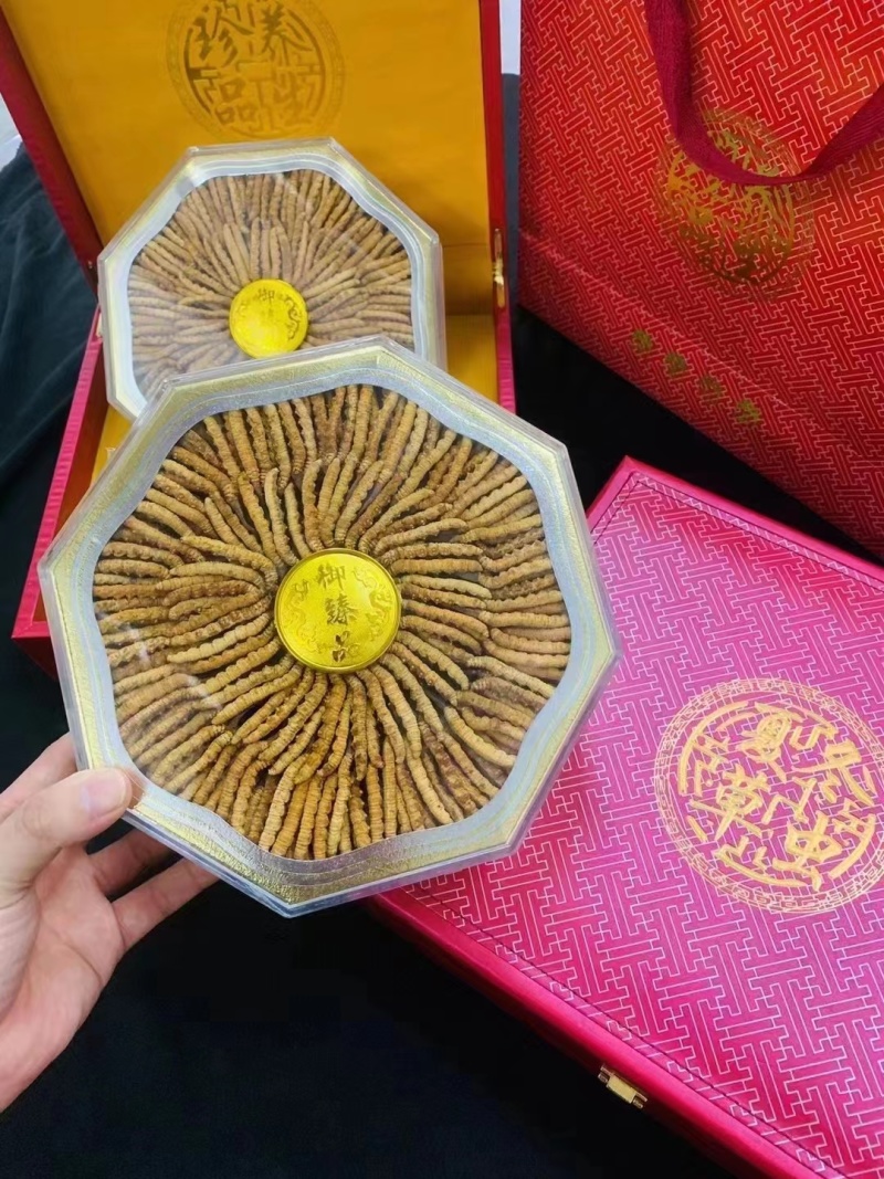 产地直销需要各种规格冬虫夏草的来咨询合作