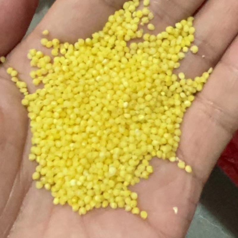 小米，大颗粒黄小米，大量供应