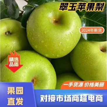 热销翠玉苹果梨高端水果保质保量产地直发量大优惠