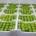 热销翠玉苹果梨高端水果保质保量产地直发量大优惠