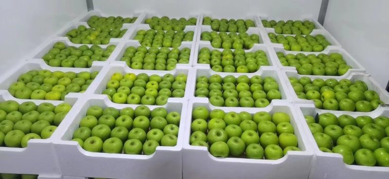 热销翠玉苹果梨高端水果保质保量产地直发量大优惠