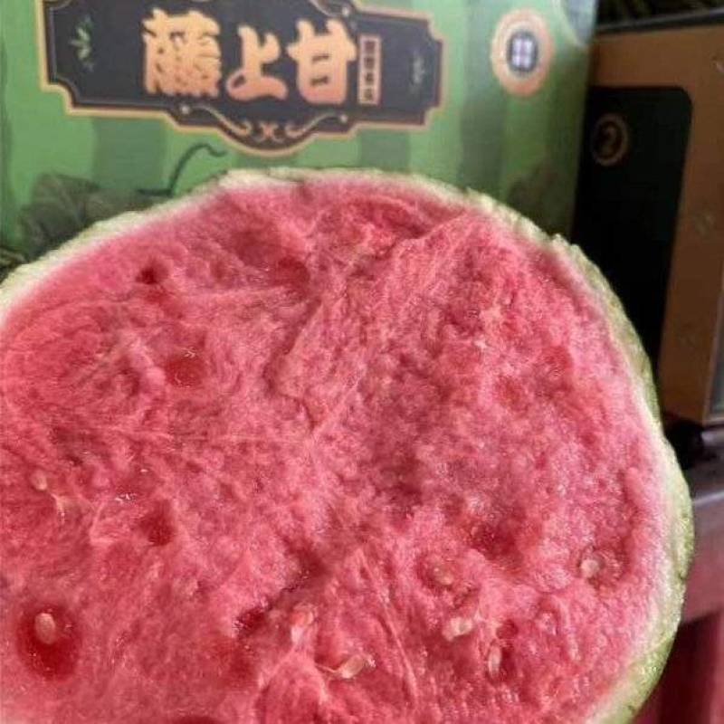 西瓜实力商家美都西瓜开封西瓜通许美都瓜产地直发一手