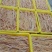 鸭肠