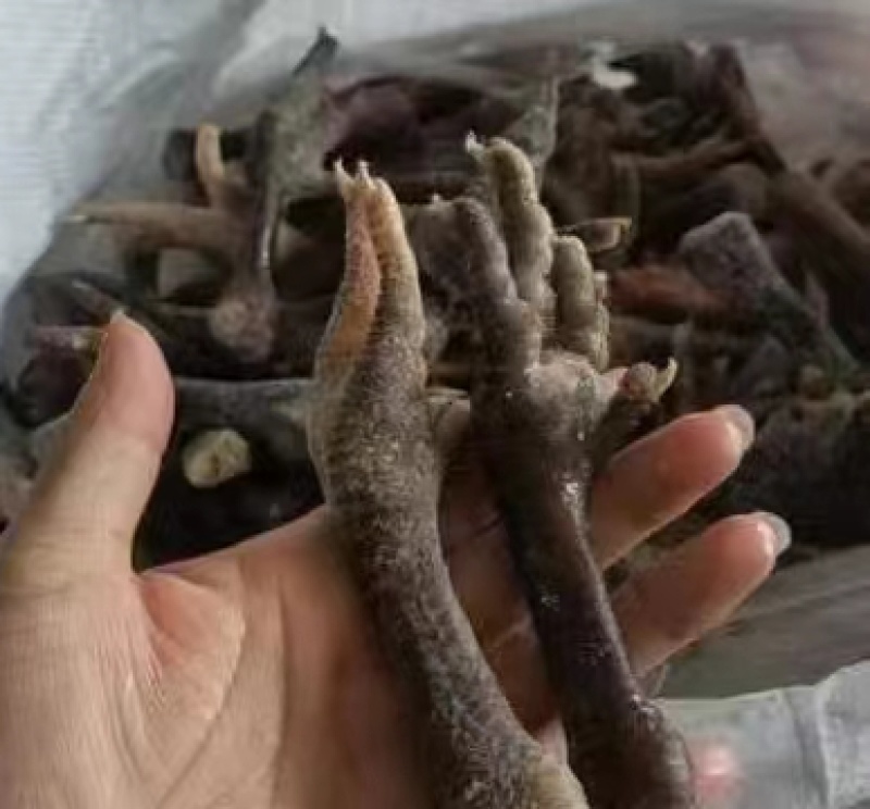 青脚爪