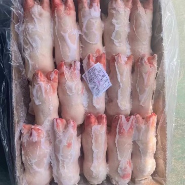 膘猪蹄非常干净，无淤血干货