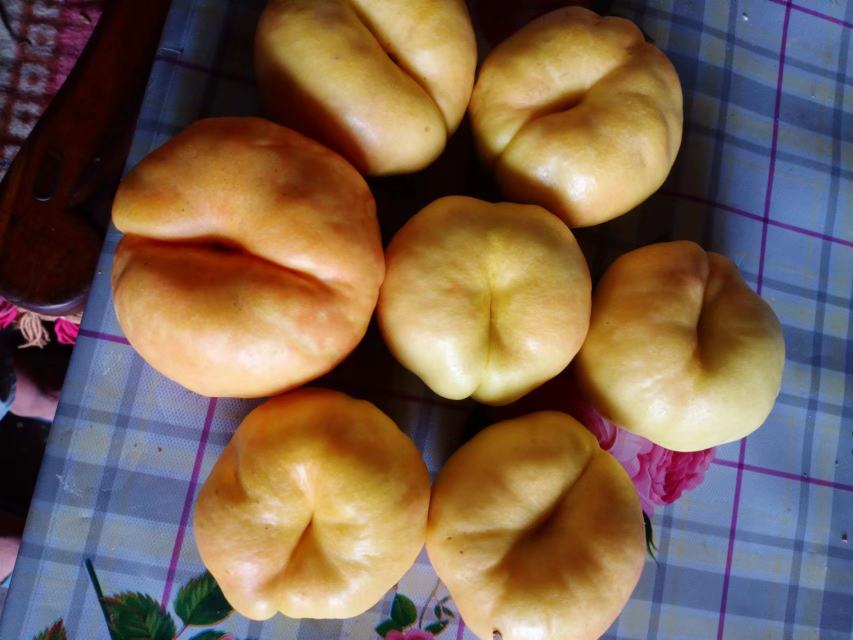 蟠桃与黄桃对比图