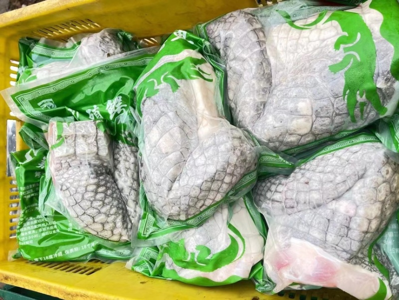 鳄鱼掌鳄鱼分割厂家直销需要可以大量定做价格实惠