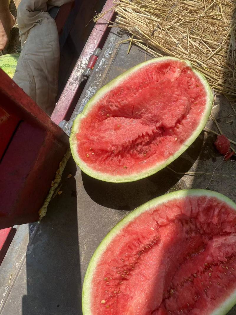 宁夏西瓜头茬西瓜陆地瓜大量供货价格优惠口感好糖度高