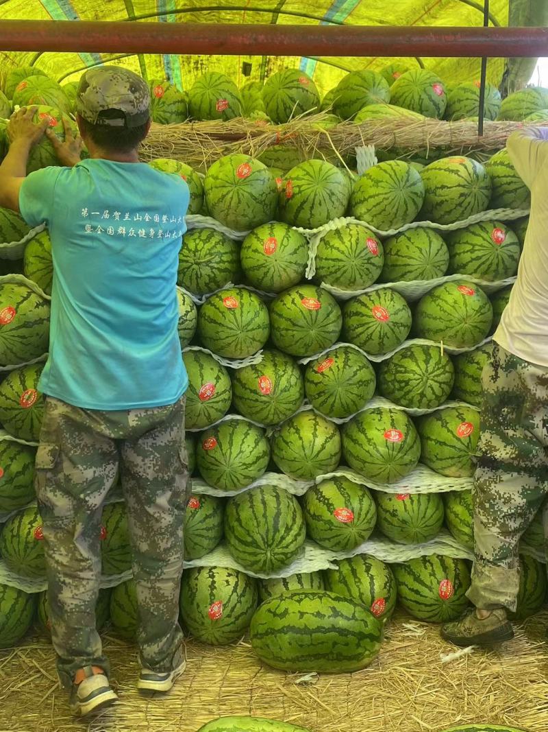 宁夏西瓜头茬西瓜陆地瓜大量供货价格优惠口感好糖度高