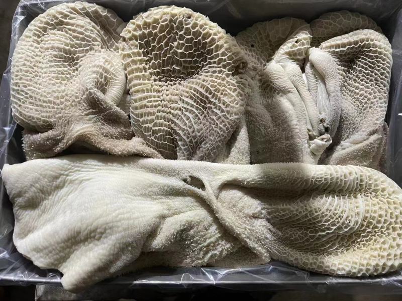 【优选牛肚】山东济南商河纯水退牛肚大量有货欢迎采购商随时咨询
