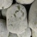 33冬瓜大量有货，敬请新老客户下单，价格可谈
