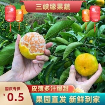 《火爆》云南蜜橘，高原早熟蜜橘大量上市皮薄多汁，入口化渣